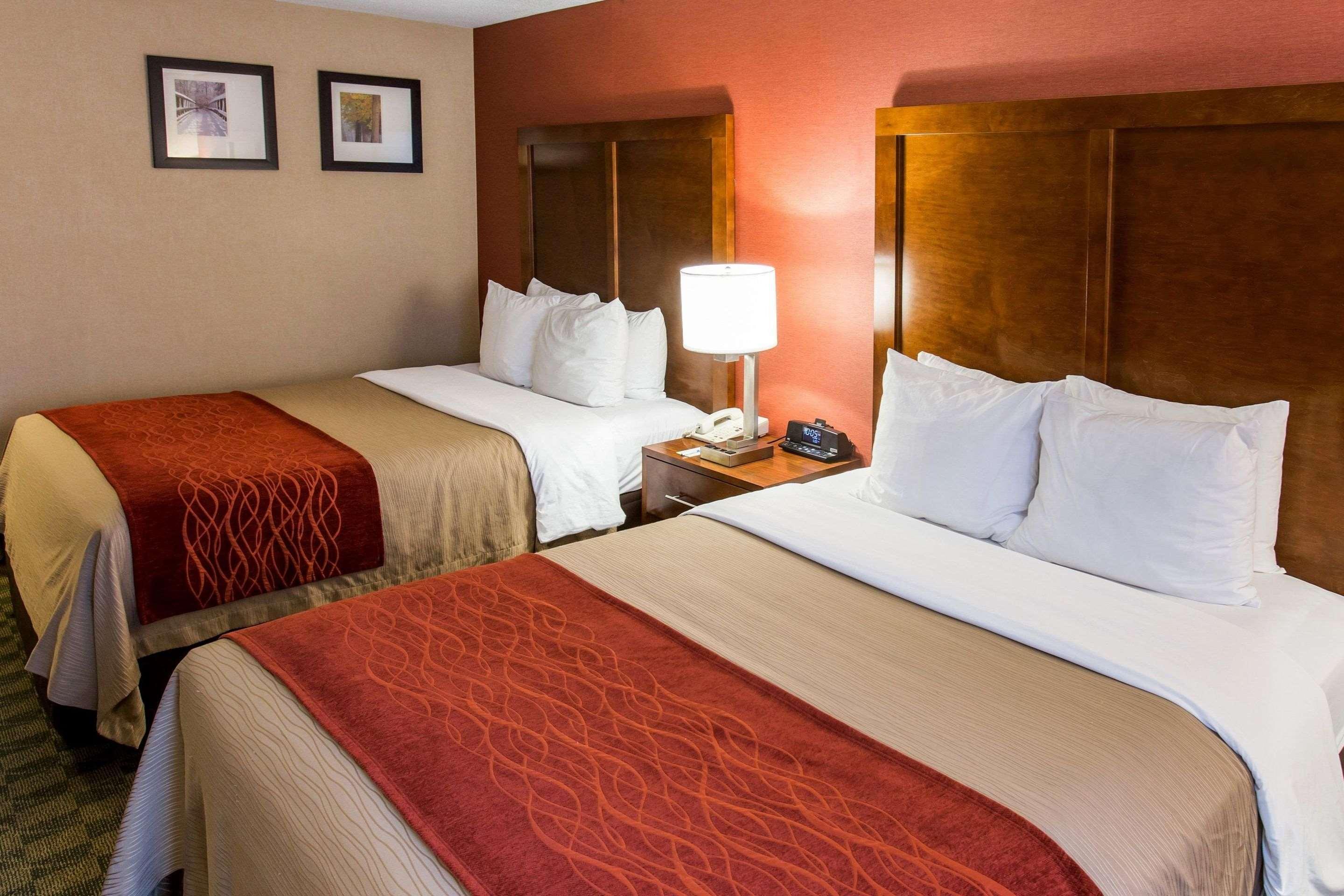 Comfort & Hotel Jackson
