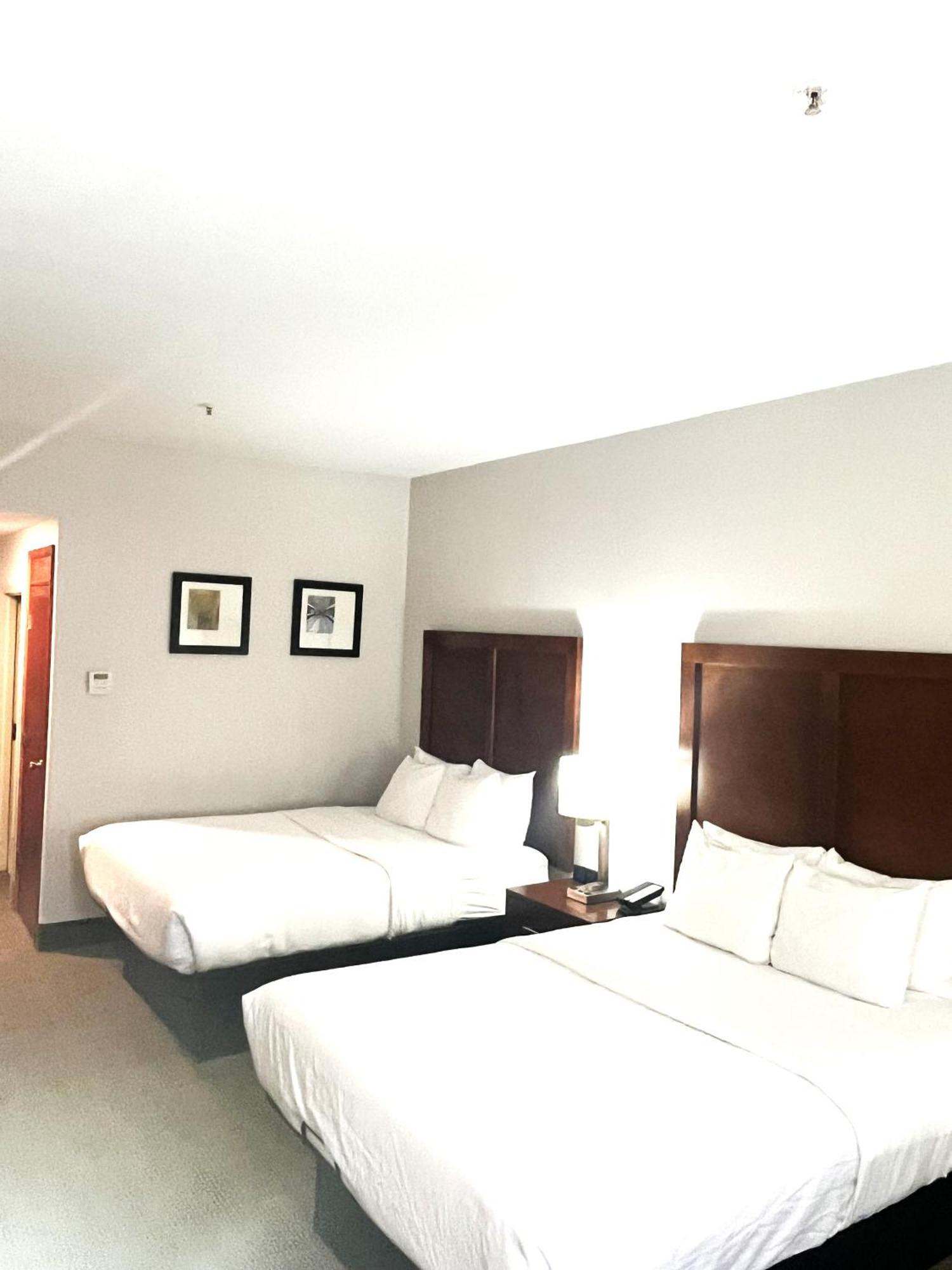 Comfort & Hotel