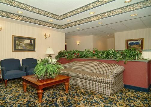Comfort & Hotel Jackson